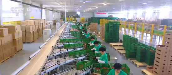 100億、10億、8.7萬(wàn)億!鄉(xiāng)村特色產(chǎn)業(yè)領(lǐng)域拓寬 發(fā)展韌性強(qiáng)