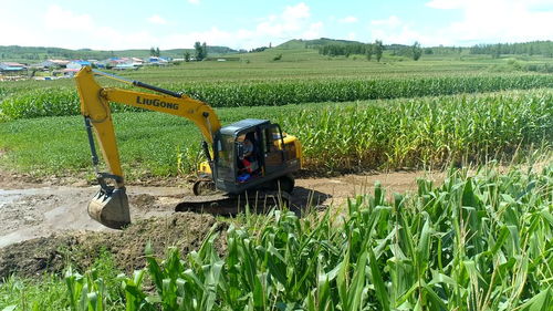 眾志成城 防汛救災(zāi)丨黑龍江尚志 全力恢復(fù)農(nóng)業(yè)生產(chǎn)秩序