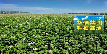 珠海華硒集團邵有林同志受聘為中國管理科學(xué)研究院行業(yè)發(fā)展研究所高級研究員