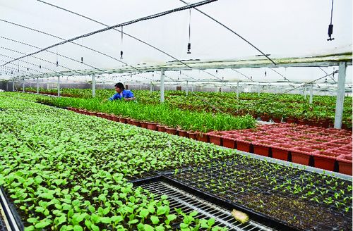 全省推進(jìn) 農(nóng)產(chǎn)品出村進(jìn)城工程 溫州2地被列為省級(jí)試點(diǎn)縣