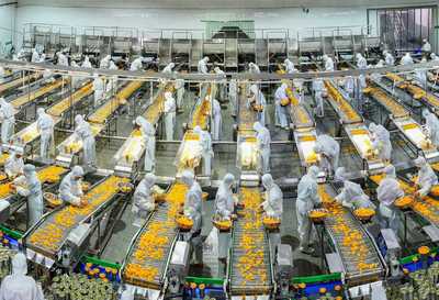 柑橘深加工助農增收