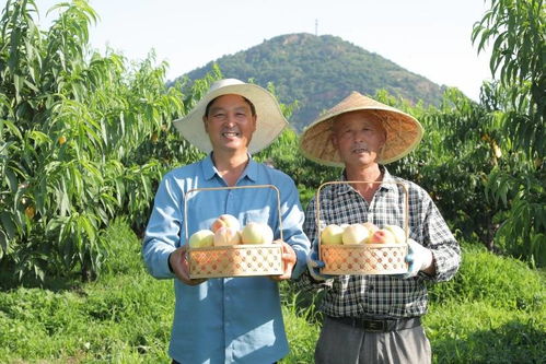 打造優質農產品品牌 京東618助力農民增收與消費升級正循環