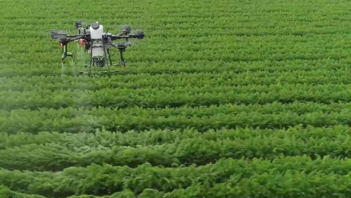 青島這場會議吹響了農業農村工作新局面的號角