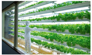 熱點押題卷01 智慧農(nóng)業(yè)