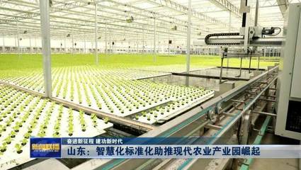 山東:智慧化標準化助推現代農業產業園崛起