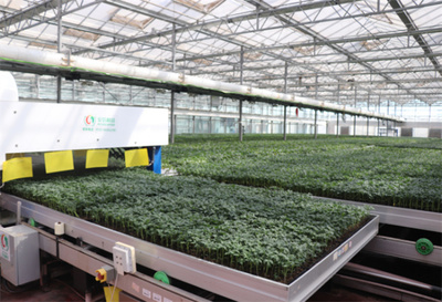 山東省濟南市濟陽區智慧育苗賦能鄉村振興