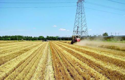 微山加快勾勒現代農業新圖景