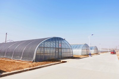 物美植物工廠首次公布數字化未來農業或成發展趨勢