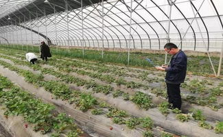 農(nóng)產(chǎn)品抽檢筑牢安全防線(xiàn) 親子運(yùn)動(dòng)會(huì)共繪社區(qū)春色——合陽(yáng)金水社區(qū)近期活動(dòng)側(cè)記