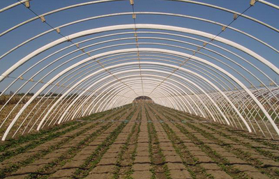 安陽(yáng)市佳和農(nóng)業(yè) 專(zhuān)業(yè)品質(zhì)，護(hù)航現(xiàn)代農(nóng)業(yè)——大棚配件廠(chǎng)家的卓越實(shí)踐