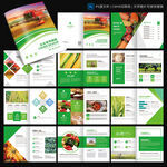 現(xiàn)代農(nóng)業(yè)的科技創(chuàng)新與可持續(xù)發(fā)展