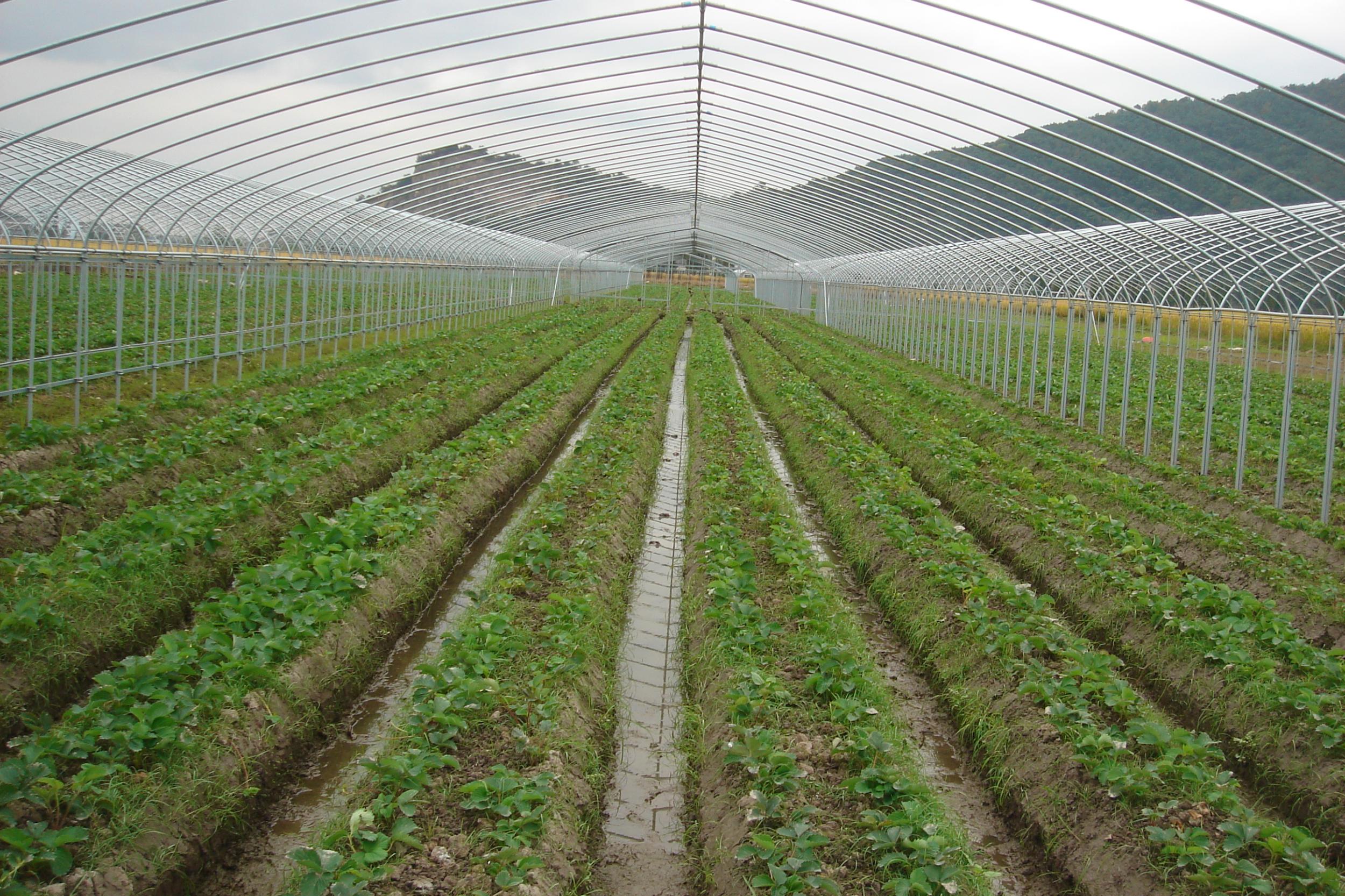 平陽三農(nóng) 創(chuàng)新引領(lǐng)，譜寫三農(nóng)發(fā)展新篇章