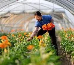 國家扶貧日 產(chǎn)業(yè)扶貧十大機(jī)制創(chuàng)新典型發(fā)布，農(nóng)業(yè)領(lǐng)域展現(xiàn)脫貧攻堅(jiān)新路徑