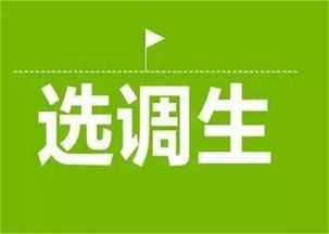 大公教育 濮陽(yáng)軍轉(zhuǎn)干考試技術(shù)推廣服務(wù)，助力退役軍人成功轉(zhuǎn)型